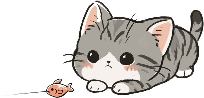 Loki, a small grey tabby cat, staring at a fish being pulled away on a string